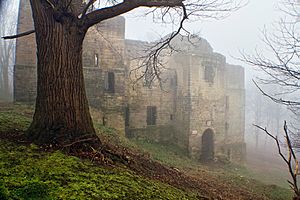 Harewood Castle