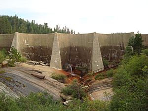 Hume.Dam.Structure
