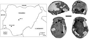 Journal.pone.0024024.g001-1