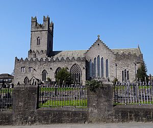 Limerick-St-Marys-Katedral-2012