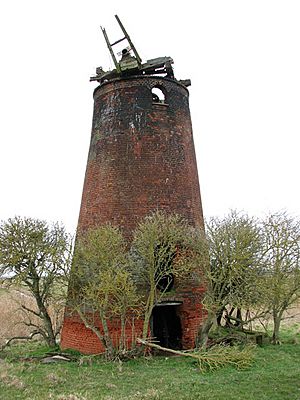 Limpenhoe drainage mill on the north bank of the River Yare - geograph.org.uk - 1753769