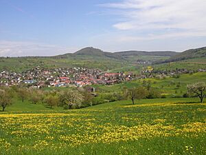 Maisprach in spring