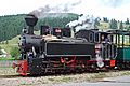 Moldovita forest railway 2013-07-12 08