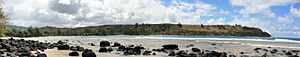 Moloaa Bay on the island of Kauai in Hawaii