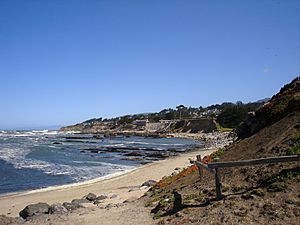 Moss Beach shoreline, April 2007. Part of the Franciscan formation is visible near the beach