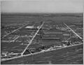 Olivehurst, Sutter County, California. Another air view of Olivehurst tract looking west. - NARA - 521590