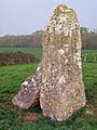 Orchardleigh Stones - geograph.org.uk - 447118