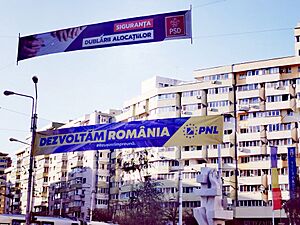 PNL si PSD alegeri parlamentare 2020