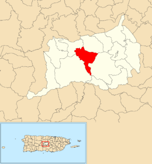 Location of Pellejas within the municipality of Orocovis shown in red