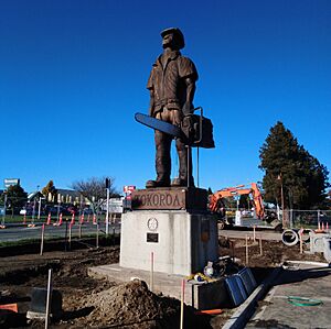 Pine man Tokoroa