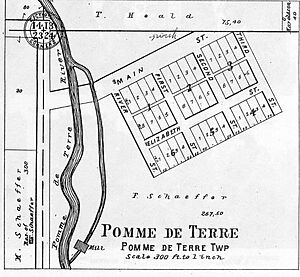 Pomme de Terre plat