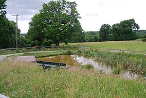 Pond, Barnett's Wood Nature Reserve - geograph.org.uk - 1366713.jpg
