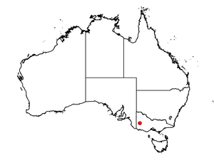 Prostanthera arapilensis distribution map.png