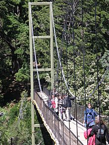 Puente colgante llamado la pasarela - panoramio
