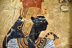 Representation of the deified queen Ahmose-Nefertari, the Great Royal Wife of Ahmose I. From Tomb TT359 at Deir el-Medina, Egypt. Neues Museum