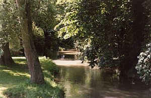River Chater, Ketton - geograph.org.uk - 62697