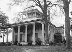 Rosemount Plantation 01