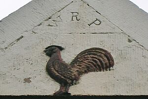 Roughwood Farm - Cockerel