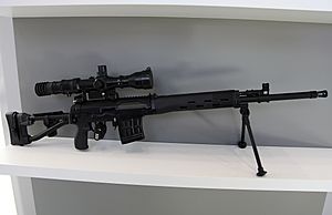 SVDM sniper rifle at Military-technical forum ARMY-2016 01