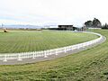 Saxton oval panorama cropped
