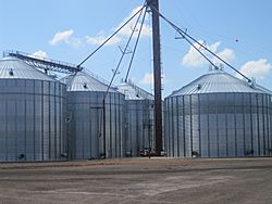 Grain silos in Springlake, Texas