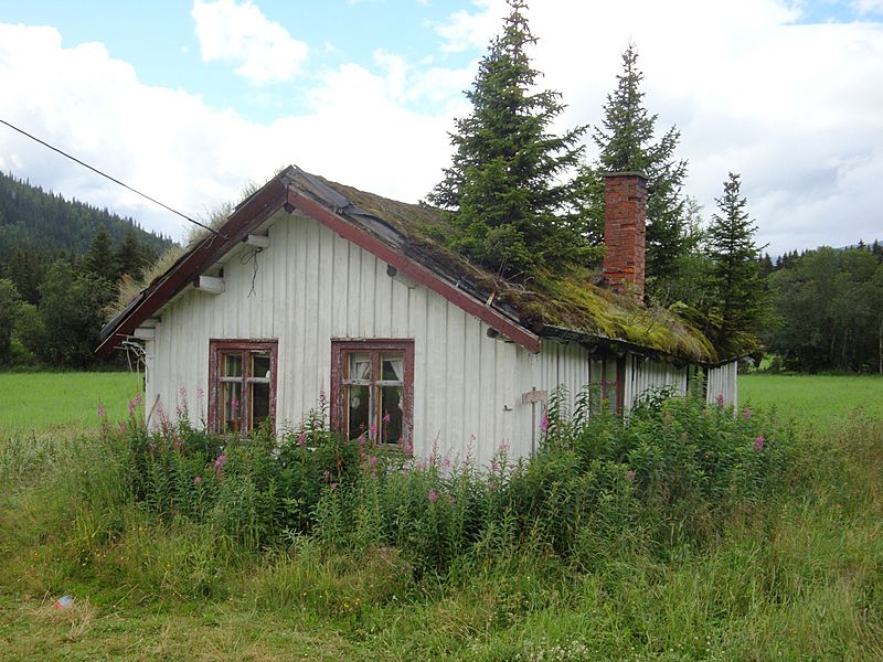 Sod roof last stage