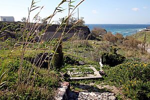 Spyridon Marinatos grave