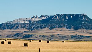 Square Butte, MT (36185049786)