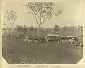 StateLibQld 2 232890 Lara Station on the Beaudesert Tramway