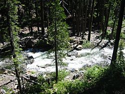 Swift creek
