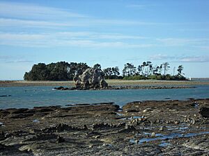 Tāhunanui Beach