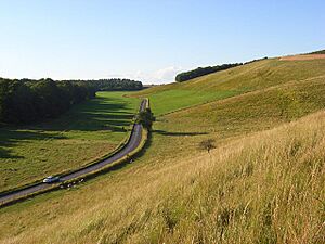 The B4000 and downland between Ashbury and Lambourn - geograph.org.uk - 918579