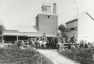 Tolleys distillery, Stepney