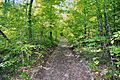 Trail-of-tears-road-fredonia-tn1