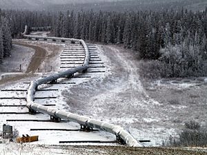 Trans Alaska Pipeline Denali fault shift