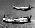 Two P-47 Thunderbolts