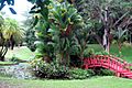 University of Puerto Rico Botanical Gardens 01