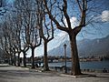View of Lake Como from Lecco