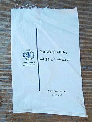 WFP World Food Programme sack Gaza strip