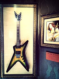 Washburn Dime 333, a Dean ML-style Dimebag Darrell signature guitar model
