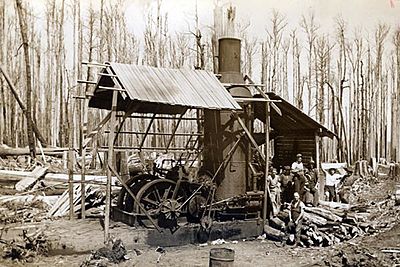 Washington Winch - 1939 salvage logging near Noojee