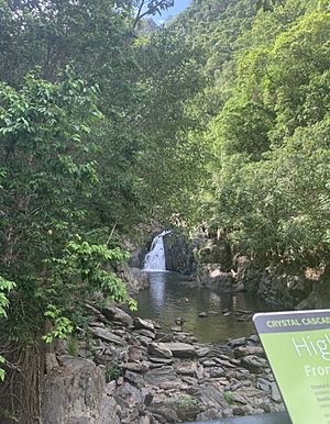 Waterfall at Lake Morris in Cairns