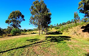 Western Sydney parklands 18