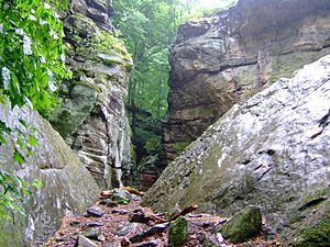 Whipps Ledges