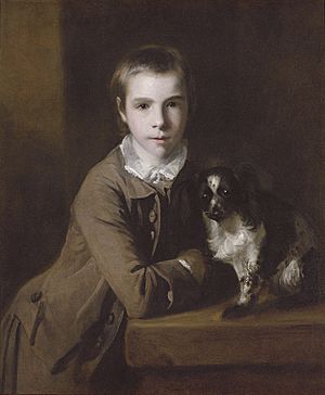 William Charles Colyear, Viscount Milsington, later 3rd Earl of Portmore (1747-1823) by Joshua Reynolds