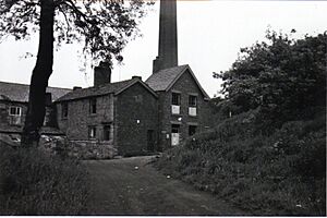 Wood Mill, Woodley, just prior to demolition (1963)