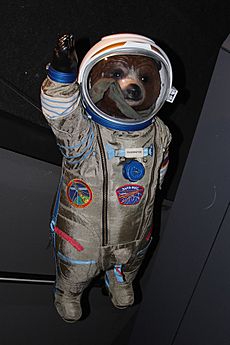 "Gravity Bear", Paddington Bear, Royal Observatory - geograph.org.uk - 4282491