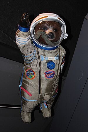 "Gravity Bear", Paddington Bear, Royal Observatory - geograph.org.uk - 4282491