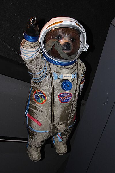 Gravity Bear , Paddington Bear, Royal Observatory - geograph.org.uk - 4282491