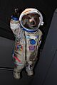 "Gravity Bear", Paddington Bear, Royal Observatory - geograph.org.uk - 4282491